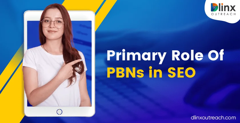Primary Role Of PBNs in SEO