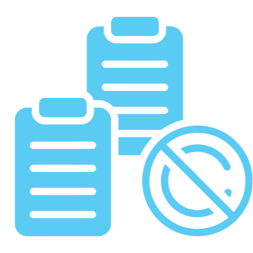 No Plagiarism Policy