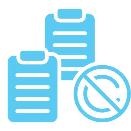 No Plagiarism Policy